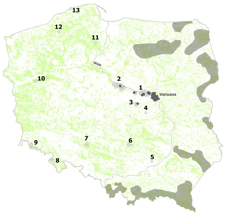 Zasięg występowania wilka w Polsce. 